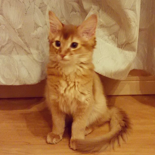 Instagram 写真日記