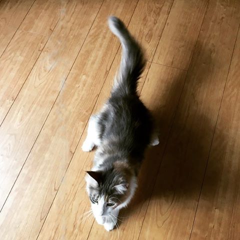 Instagram 写真日記