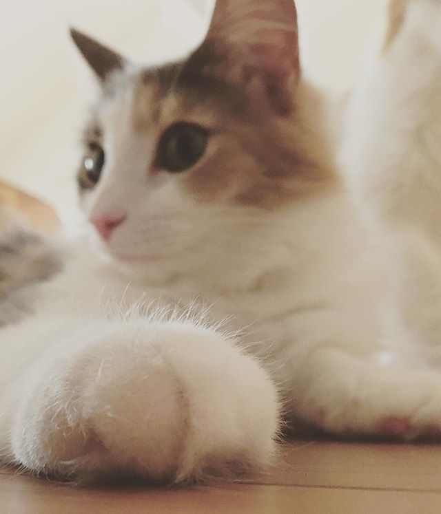 Instagram 写真日記