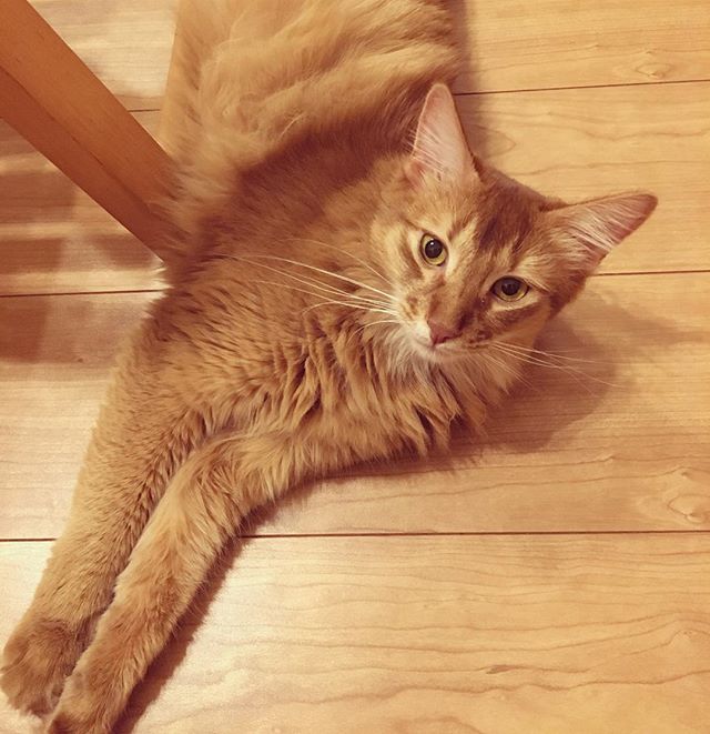 Instagram 写真日記