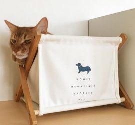 マガジンラックに入った猫のライト