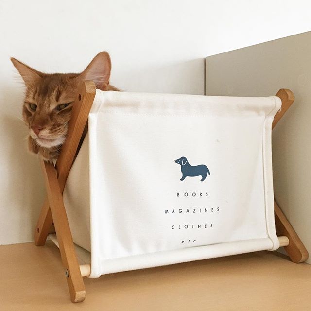 Instagram 写真日記