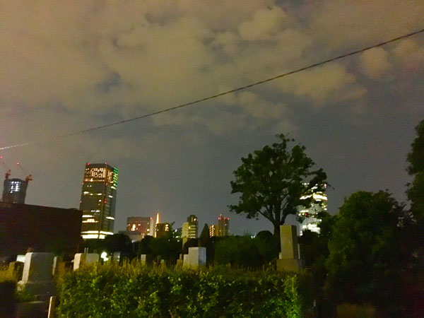 東京タワーを臨む夜景