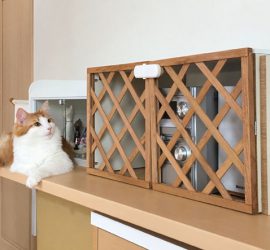 ミニコンポラックアフター