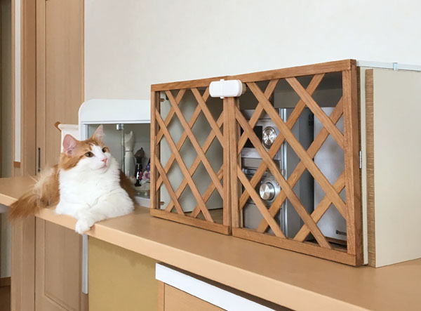 ミニコンポラックアフター