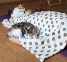 パワージュエル施術中風景