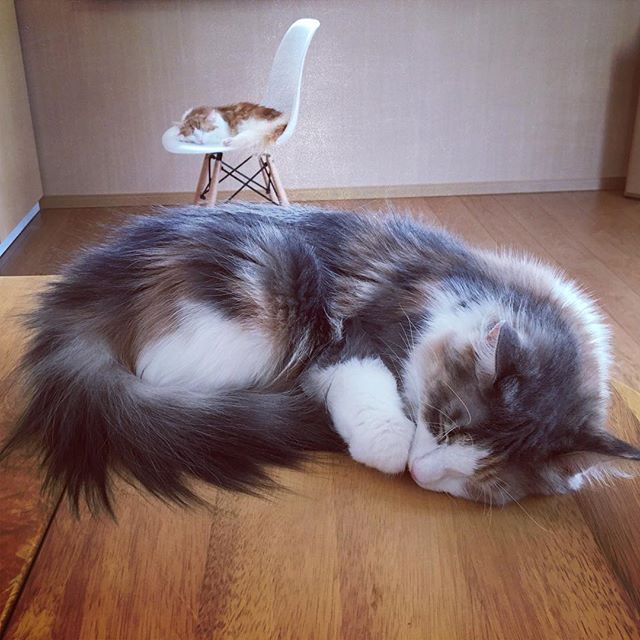 Instagram 写真日記