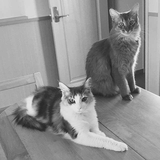 Instagram 写真日記