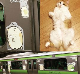 すみっコぐらし山手線と猫のラフィエル