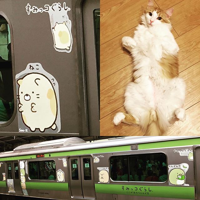 Instagram 写真日記