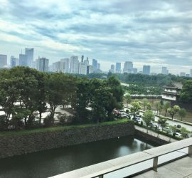 パレスホテルからの風景