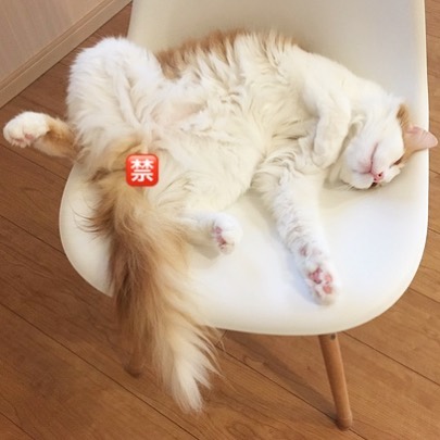 Instagram 写真日記