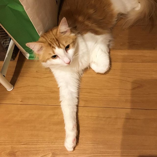 Instagram 写真日記