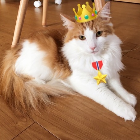 Instagram 写真日記