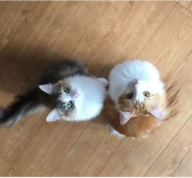 今すぐ実践できる写真講座2