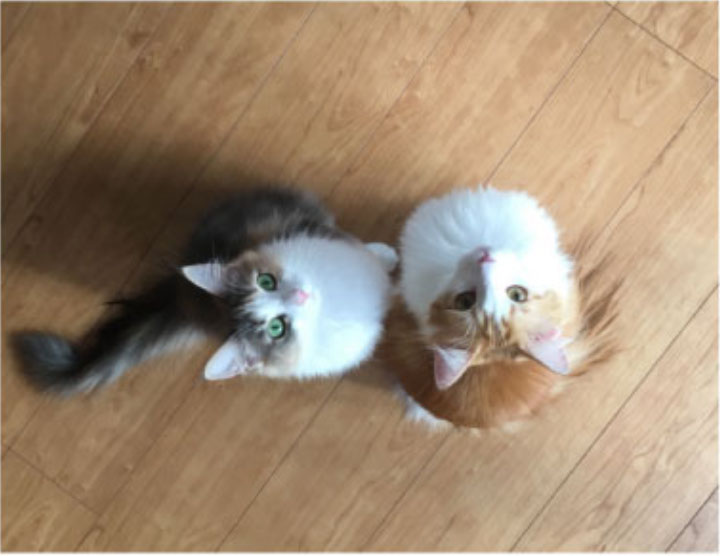 今すぐ実践できる写真講座2