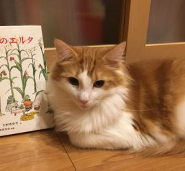 かえるのエルタの本とラフィエル