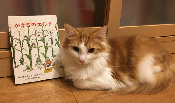 かえるのエルタの本とラフィエル