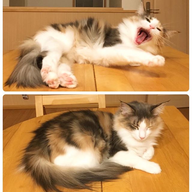 Instagram 写真日記