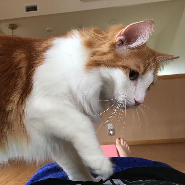 Instagram 写真日記