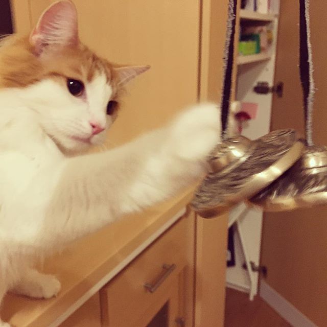 Instagram 写真日記