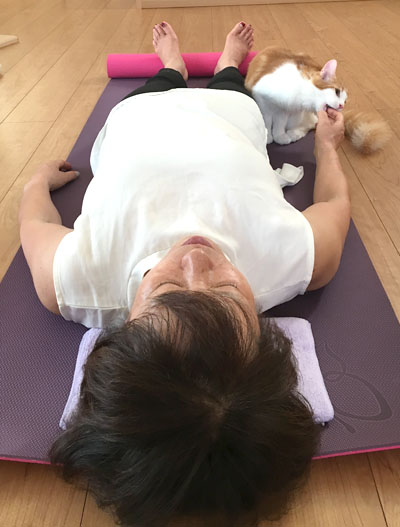 お客様と猫のラフィエル