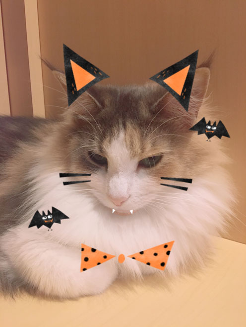 ハロウィンキャラウェイ