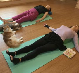 ヨガクラス風景