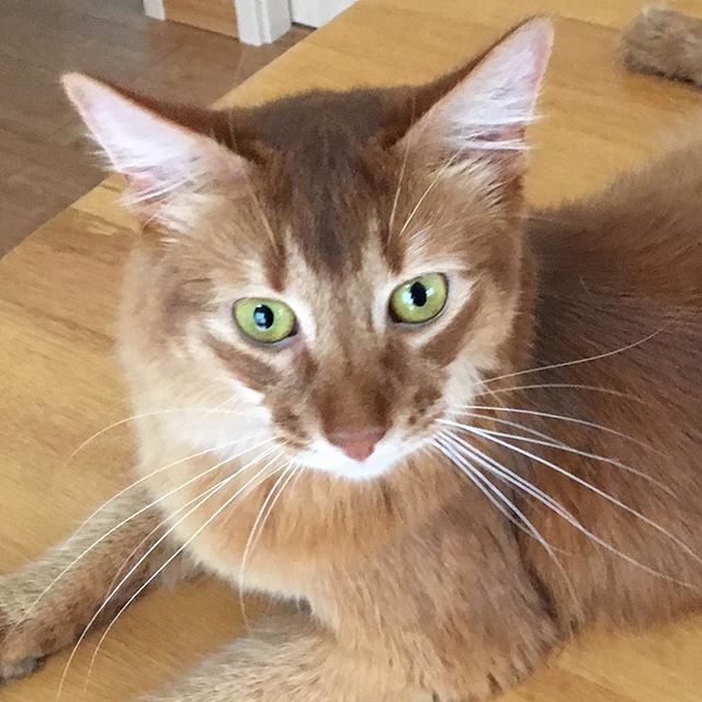 23421577_107790146663178_4046228590084227072_n