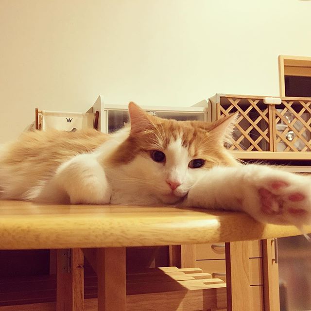 23823600_1916816745304344_7896976115967721472_n