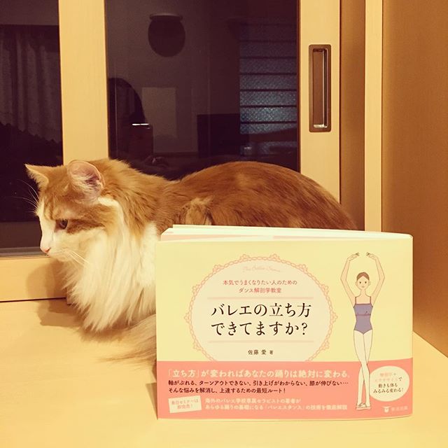 24125117_380082185779067_215885779514163200_n