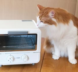 オーブントースターぷちはこ