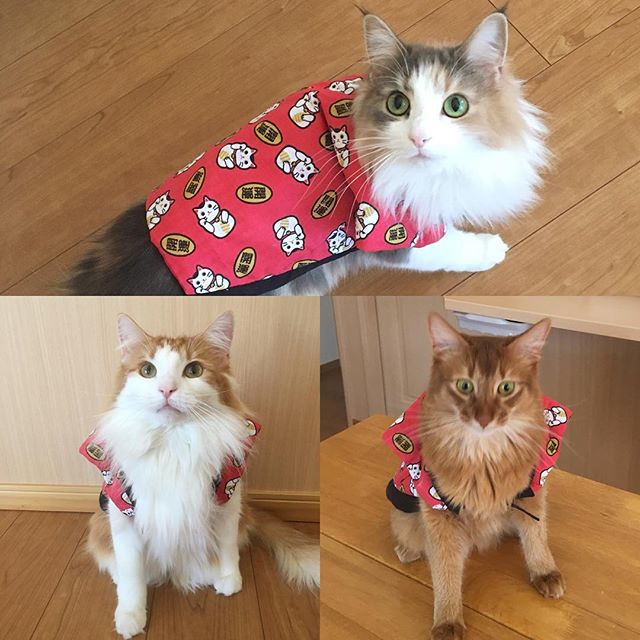 インスタ2018-1-3