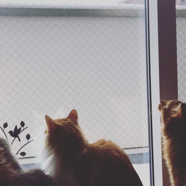 インスタ2018-2-2