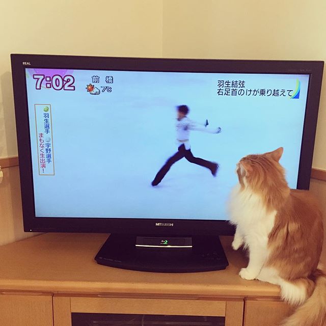 27581174_1516737791757987_5069722900198588416_n