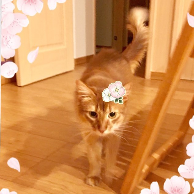 27891788_944280979083301_7476899980519669760_n