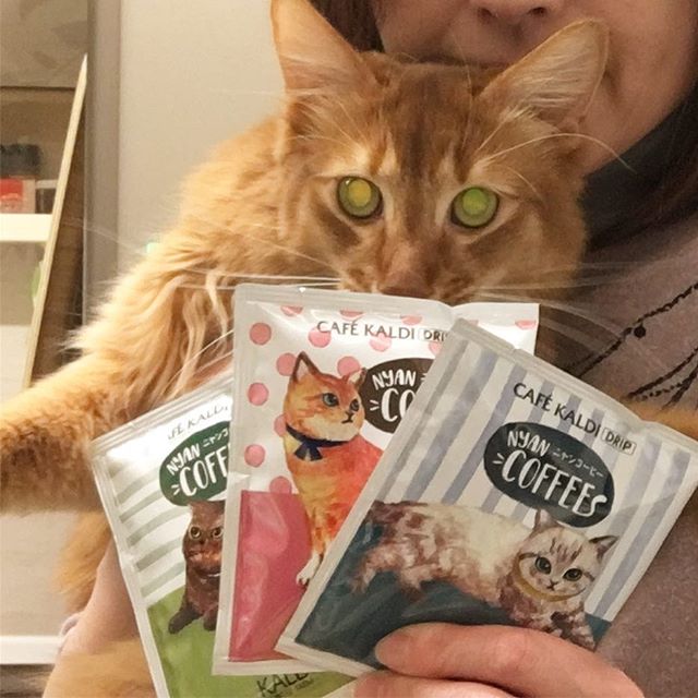 28156772_180960639346794_5320535139015458816_n