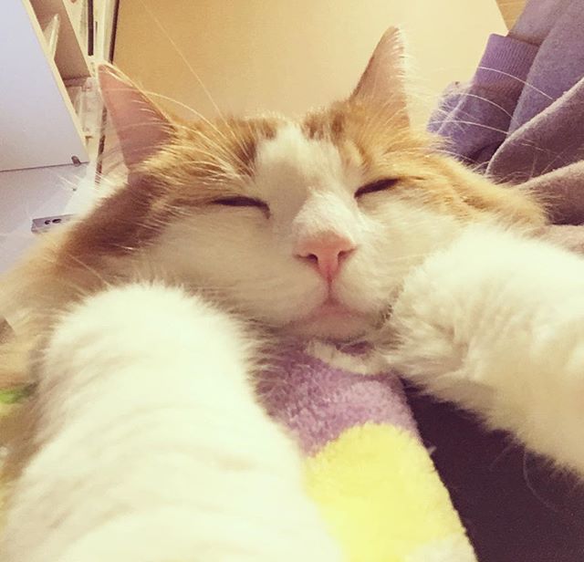 28429635_928628140636776_2598270036565032960_n