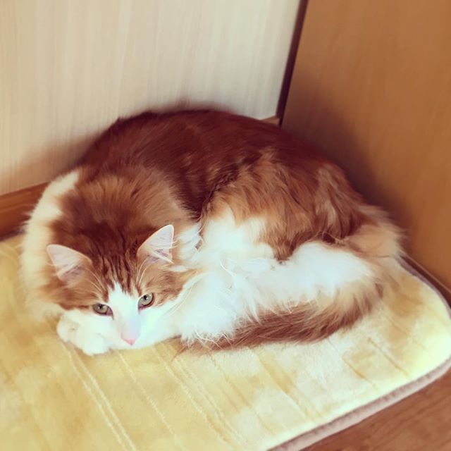 インスタ2018-3-1