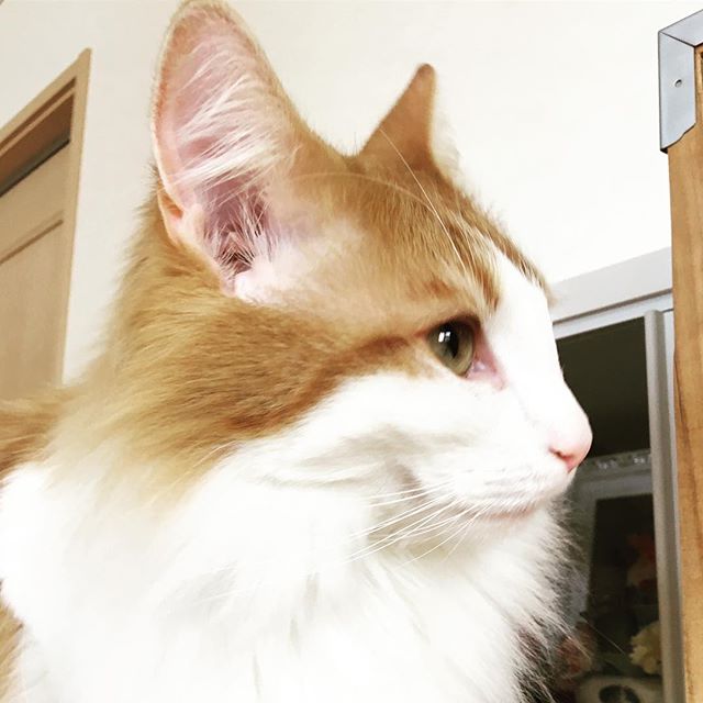 28430384_178998156217859_2640843599238922240_n