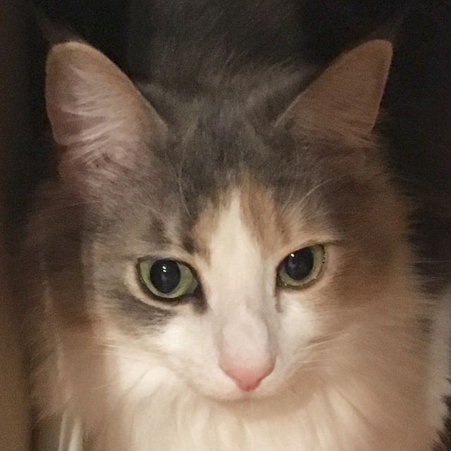 28752309_187612445350212_5480280254247337984_n