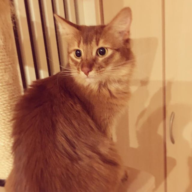 29093671_169920296996310_885679422449909760_n