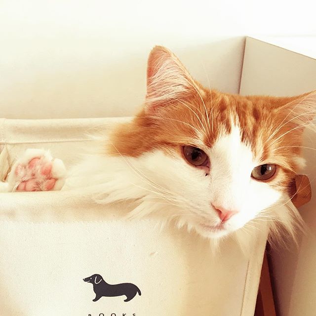 29094095_2022970531064175_8174222508396904448_n