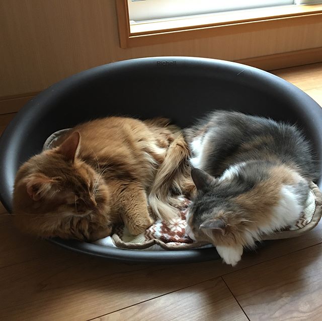 29402685_158287321525848_6470349050100056064_n