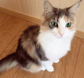 インスタ2018-3-30