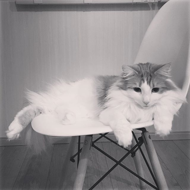 インスタ2018-4-13