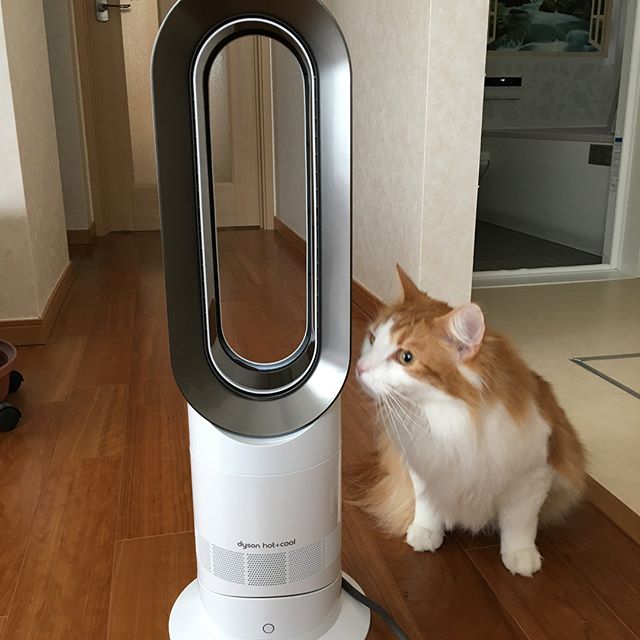 インスタ2018-4-14