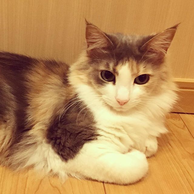 インスタ2018-4-30