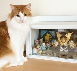 インスタ2018-5-5