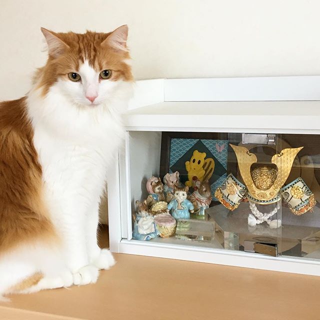 インスタ2018-5-5